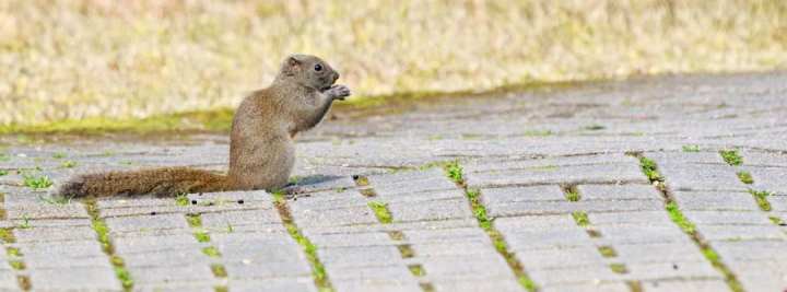 浙江省春暉中學的校園春天“打包”寄給你(圖27) 浙江省春暉中學的校園春天“打包”寄給你(圖27)