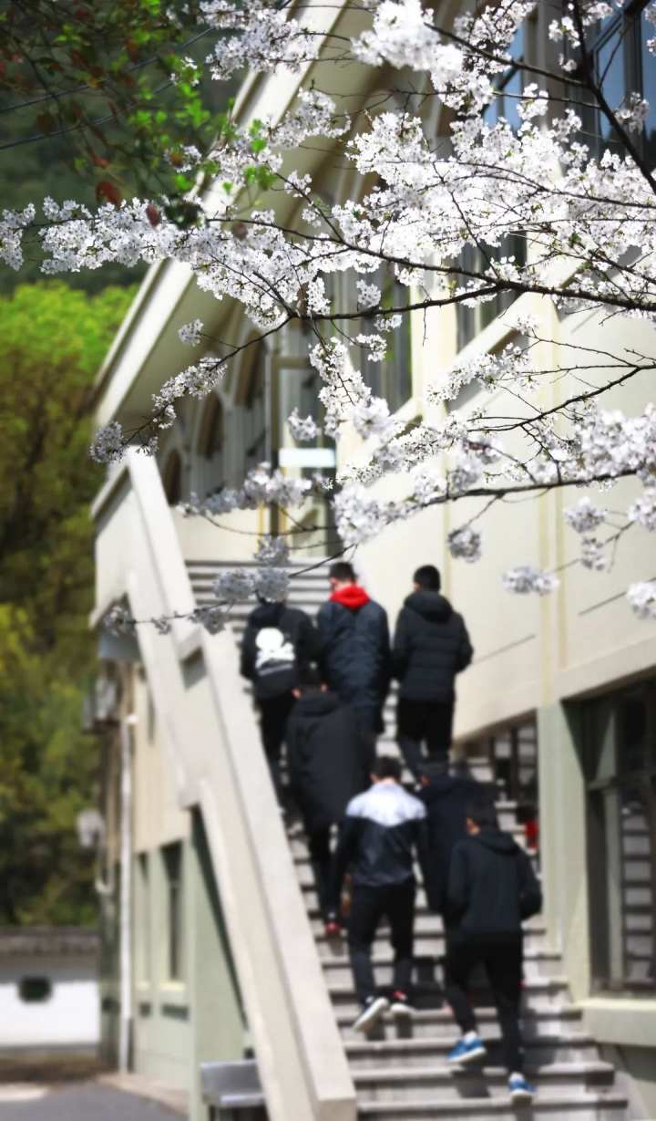 浙江省春暉中學的校園春天“打包”寄給你(圖32) 浙江省春暉中學的校園春天“打包”寄給你(圖32)