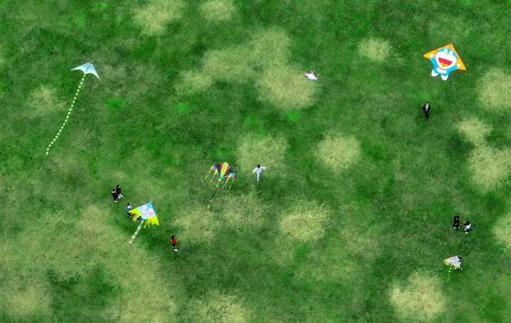 浙江省春暉中學的校園春天“打包”寄給你(圖33) 浙江省春暉中學的校園春天“打包”寄給你(圖33)