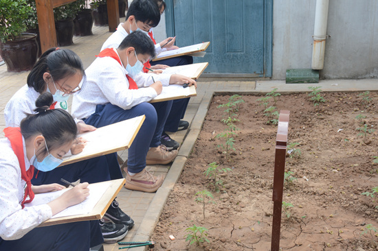 石家庄市育才小学举行劳动教育现场会(图2)