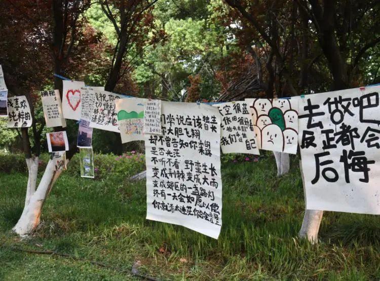 “鸡汤给你喝，摆烂我最行”