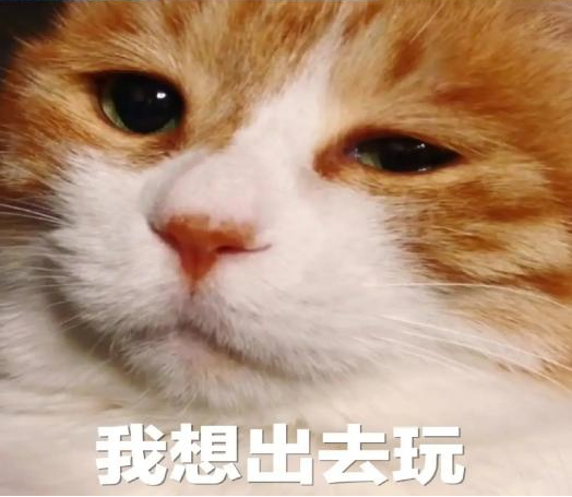 画说抗疫丨这个小长假，“罩”顾好自己