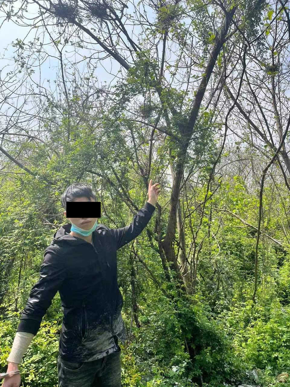 “贼喊捉贼”齐落网！南浔警方破获一起非法狩猎案