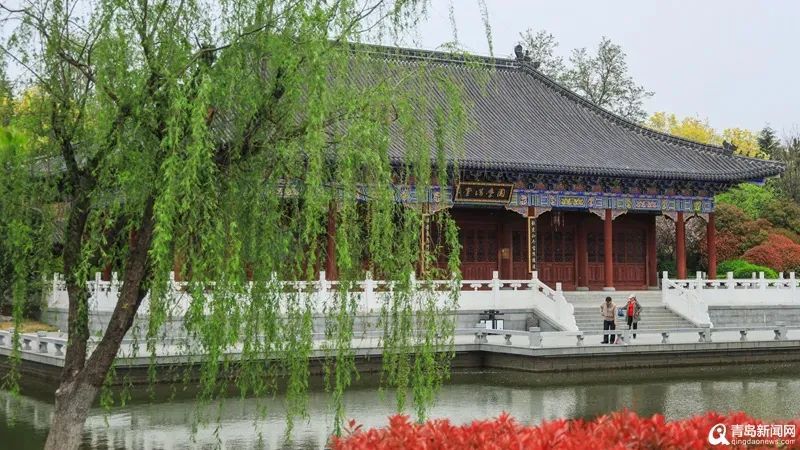 不只11家！《青岛50+免费游玩景点大全》，收好够玩一整年！