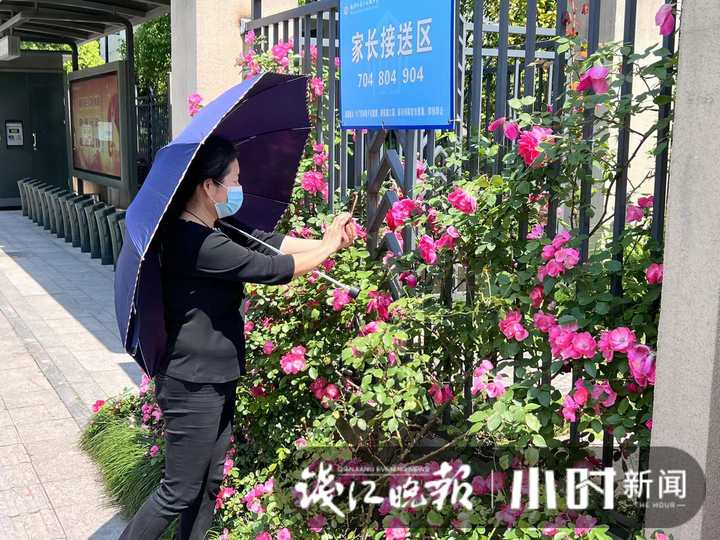 杭州夏衍初级中学外墙美上热搜 有人专门来打卡(图4)