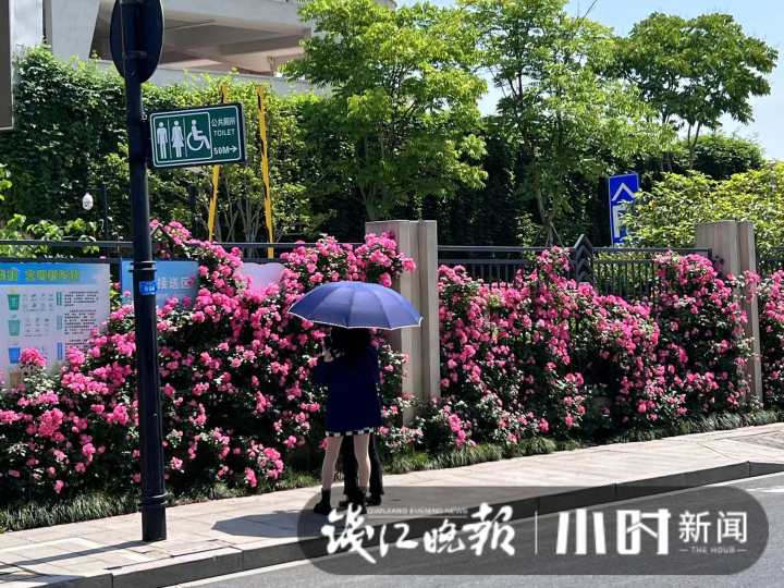 杭州夏衍初级中学外墙美上热搜 有人专门来打卡(图5)