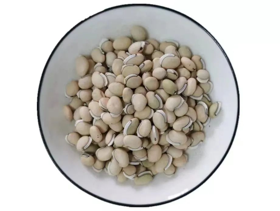 立夏將至，白扁豆幫助健脾化濕、和中消暑