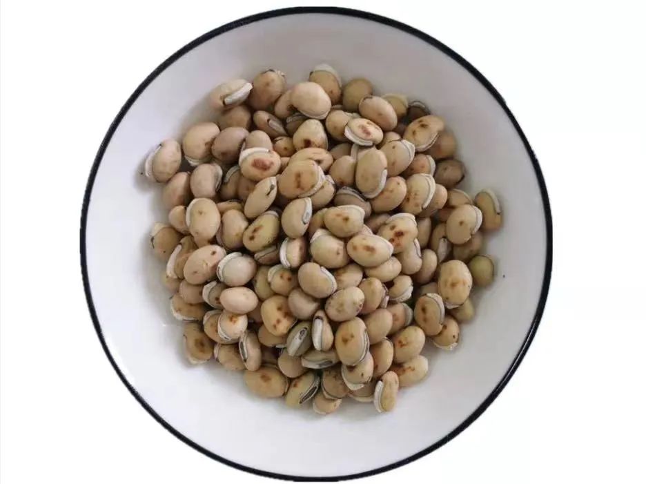 立夏將至，白扁豆幫助健脾化濕、和中消暑