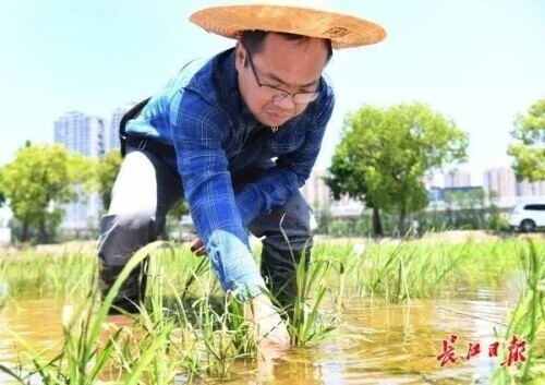 带着患病母亲上大学,毕业当老师把爱传递给更多的孩子……他们的青春闪闪发光