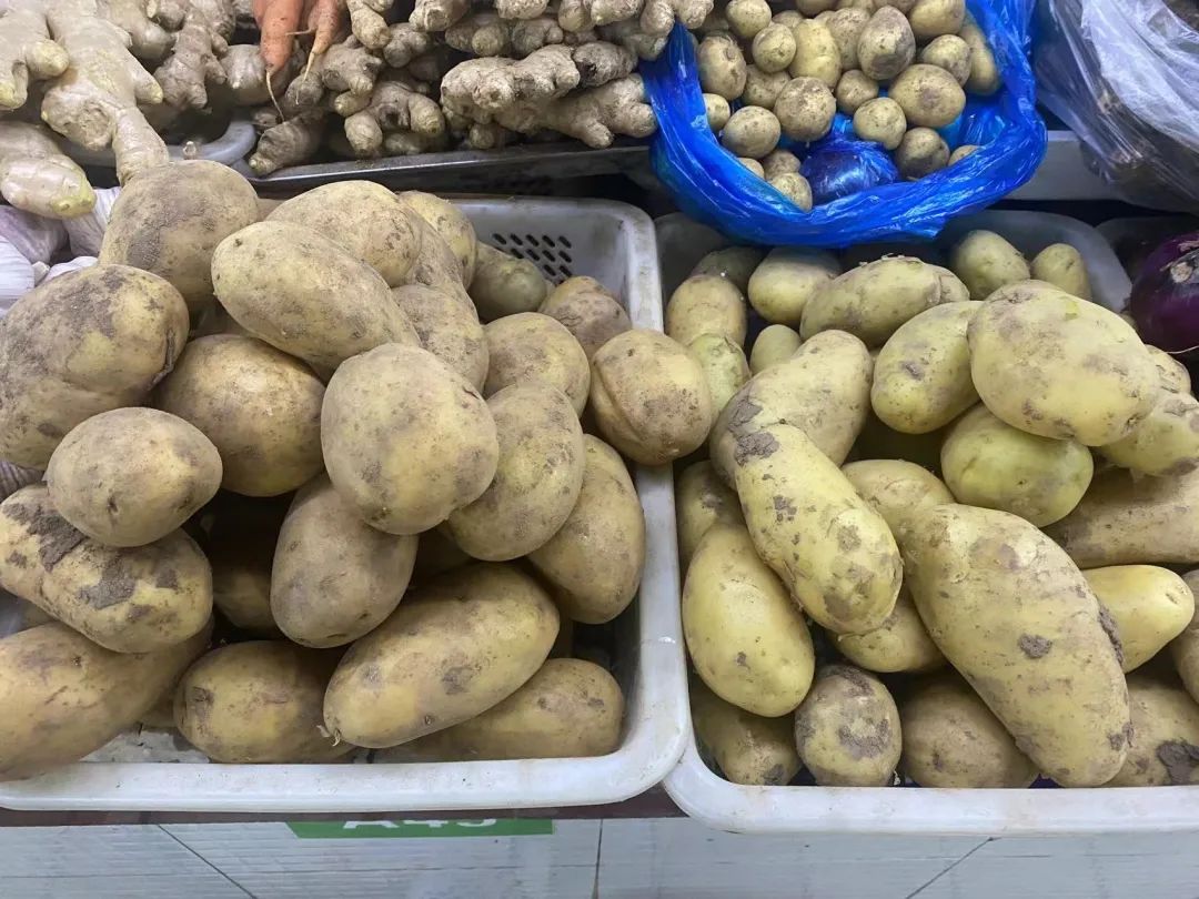 土豆图片真实图片（辨别土豆好坏的方法及买菜小技巧）