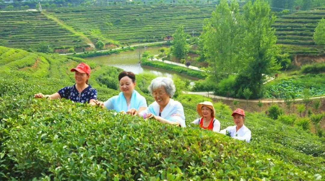 献礼母亲节！陪着妈妈去这些免票或特惠的景区逛逛吧！