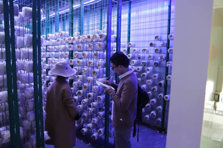 记者在科技感满满的农业综合体里 跟着数字新农人去“追光”