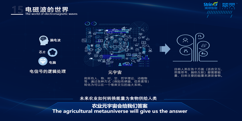 如何理解农业元宇宙