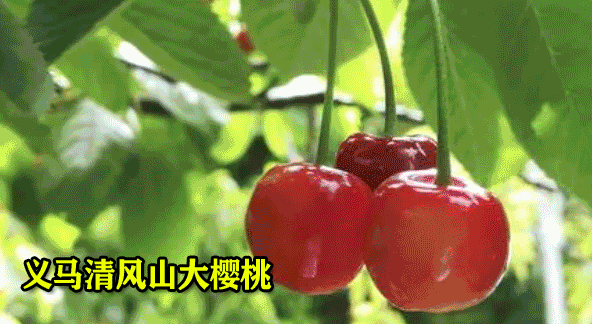 2022年第一季度“三门峡好人榜”来了