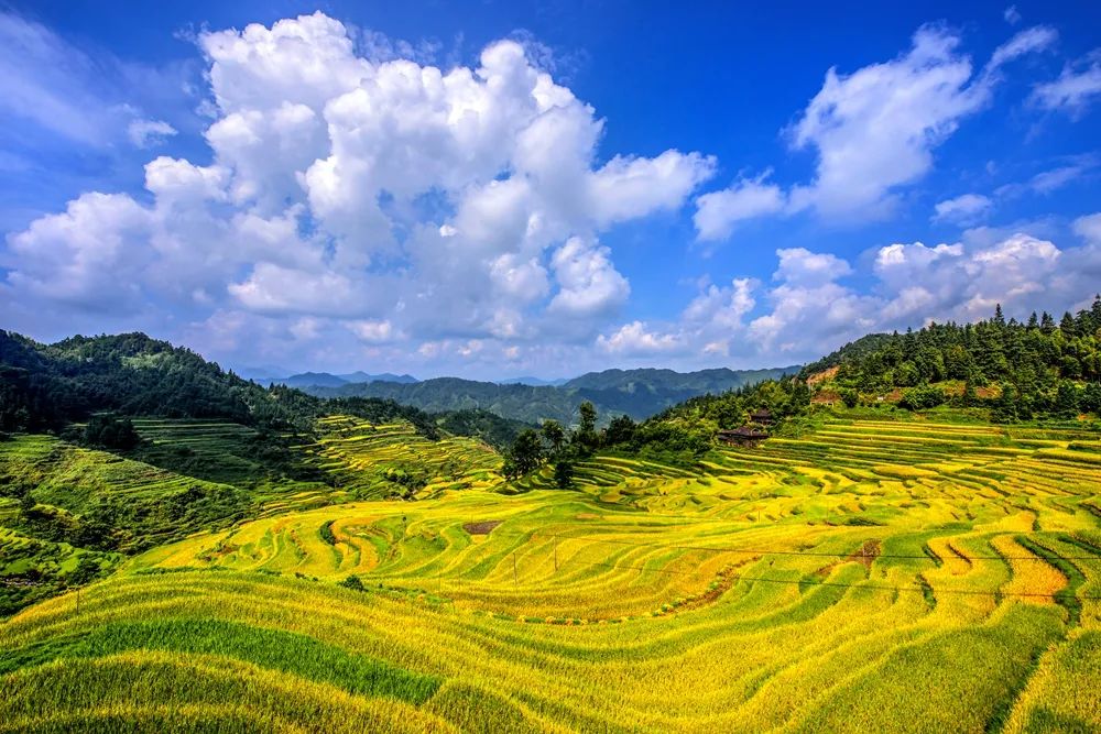 端午节放假安排来了，广西这些治愈系风景，在等着与你相遇