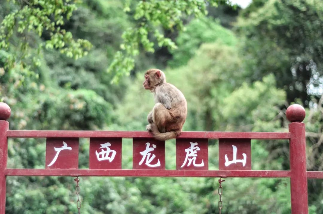 端午节放假安排来了，广西这些治愈系风景，在等着与你相遇