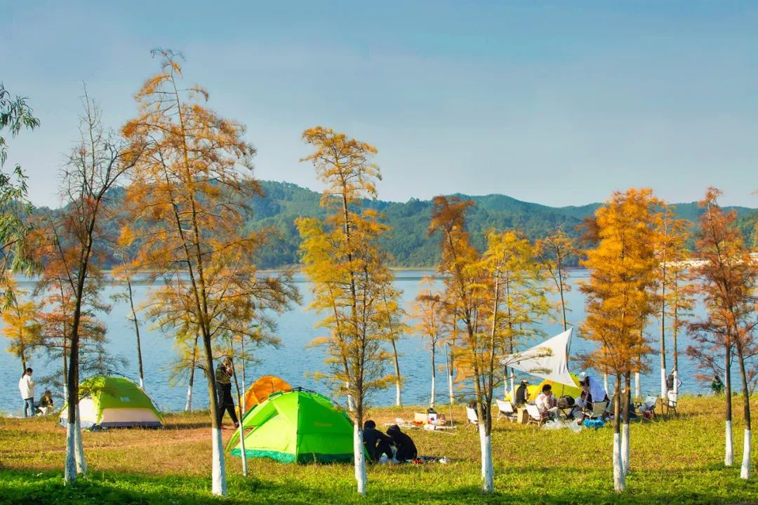 端午节放假安排来了，广西这些治愈系风景，在等着与你相遇