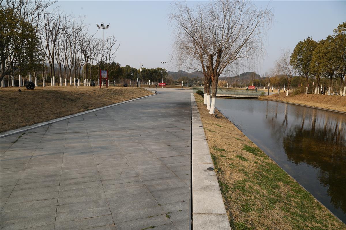海綿城市的奧秘在哪里？