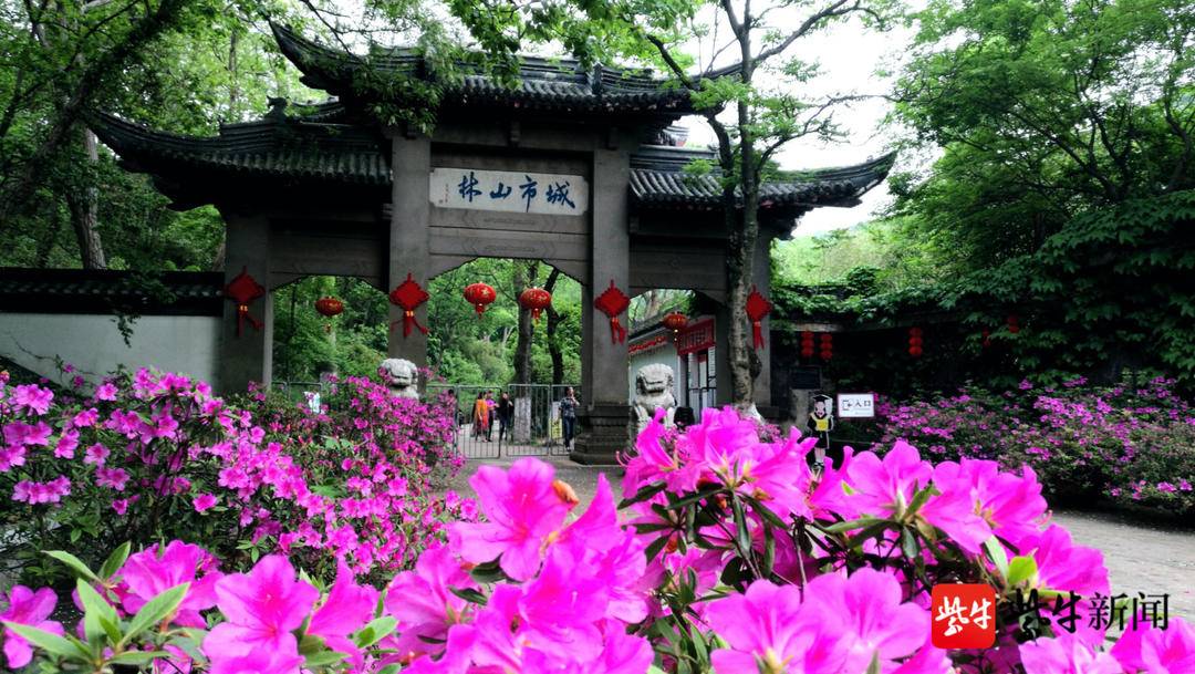 “城市绿肺”镇江南山入榜江苏省文化和旅游市场“红名单”