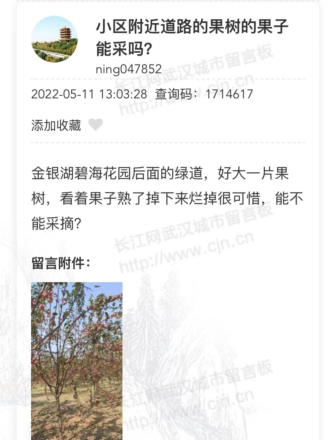 武漢公園里果子熟了，你摘不摘？網(wǎng)友又吵翻天了......