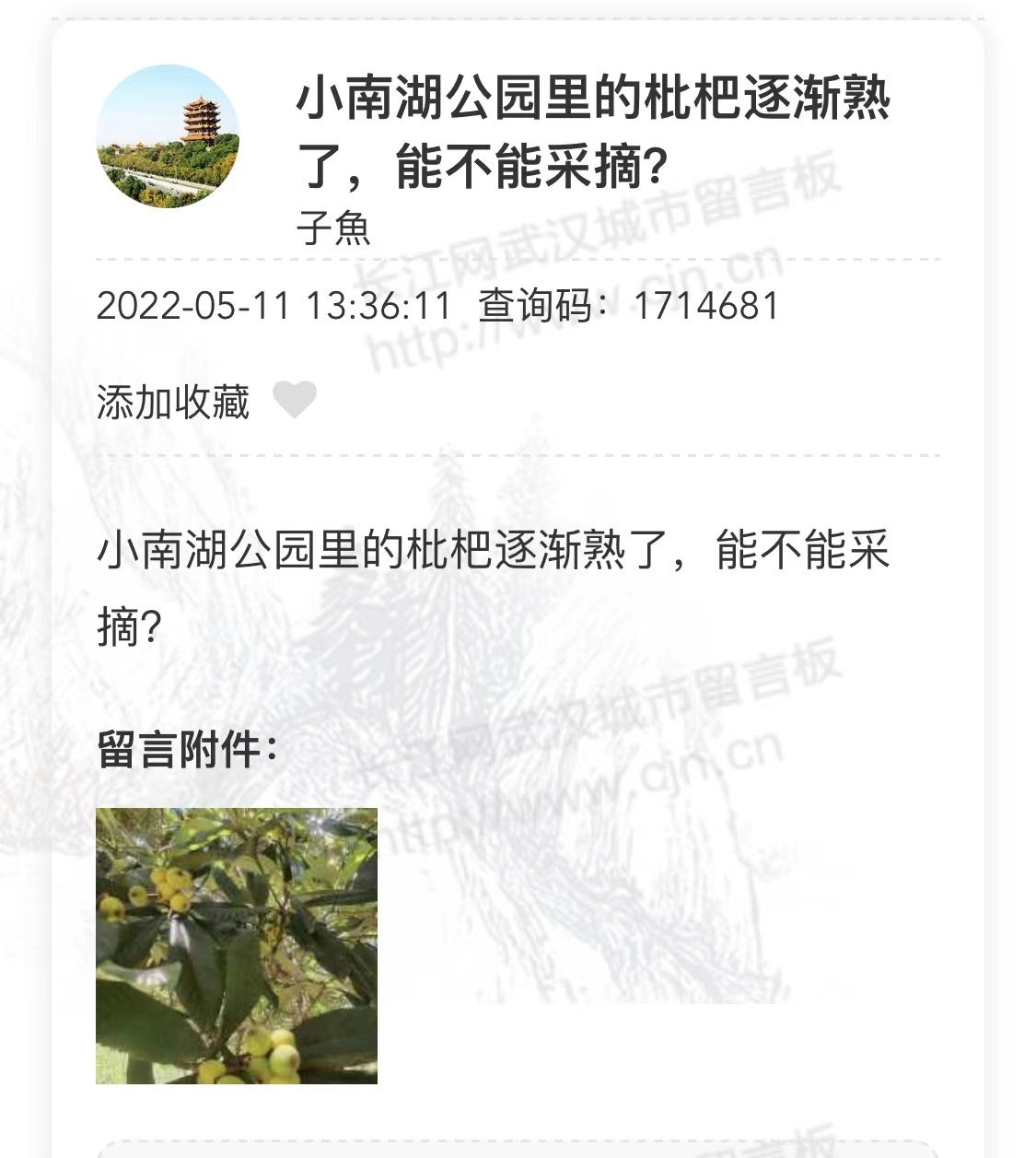 武漢公園里果子熟了，你摘不摘？網(wǎng)友又吵翻天了......