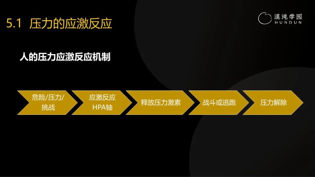 清华大学彭凯平教授：熬过至暗时刻