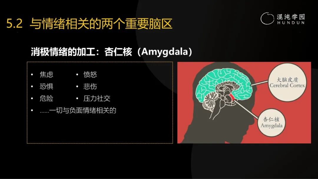 清华大学彭凯平教授：熬过至暗时刻