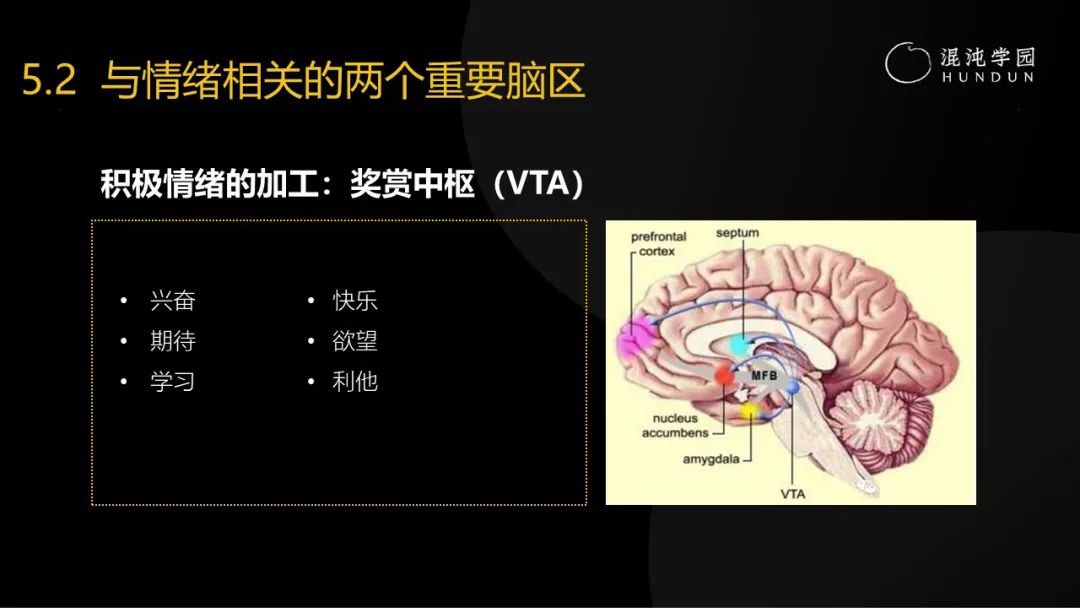 清华大学彭凯平教授：熬过至暗时刻