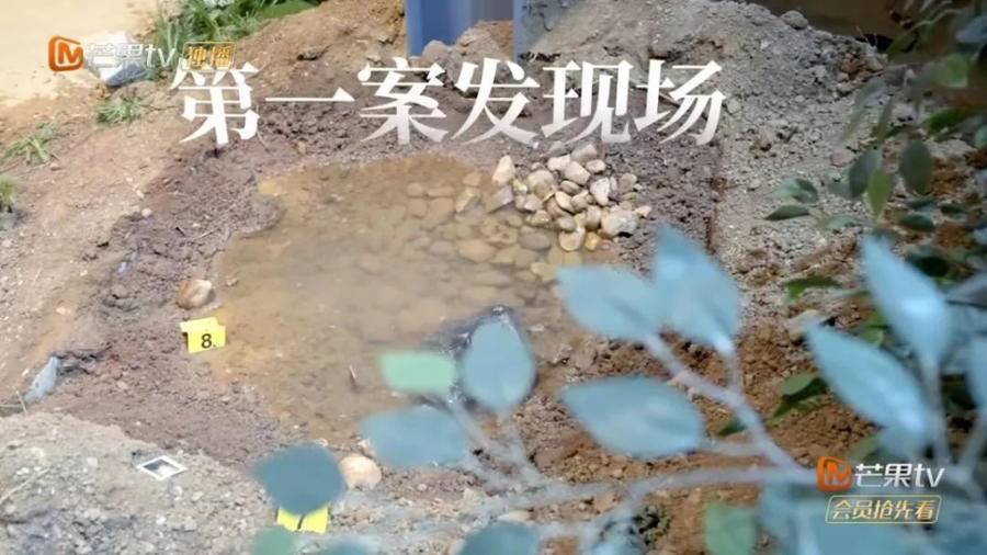 《初入职场的我们·法医季》热播，这几点你看懂没？