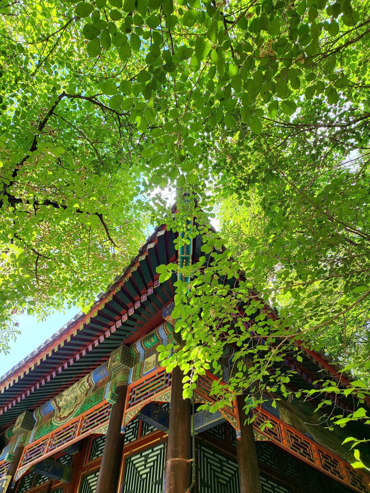 Samsung 三星 Galaxy Z Fold 3智能手机拍摄体验报告 「SOOMAL」