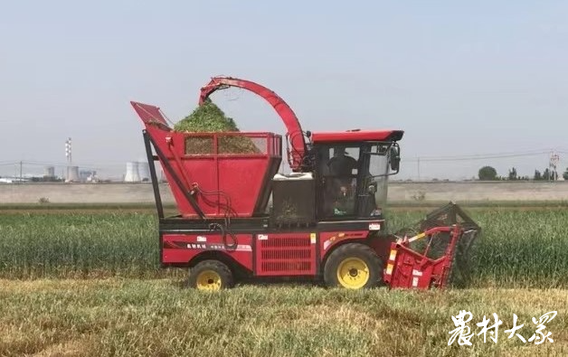 家庭牛場能否實現(xiàn)全程機械化管理？答案在這里
