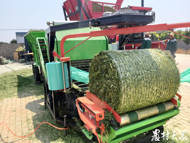 家庭牛場能否實現(xiàn)全程機械化管理？答案在這里