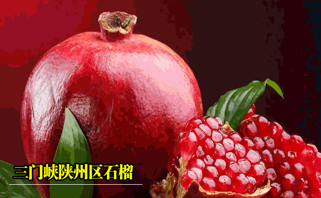 正式上线，免费开放