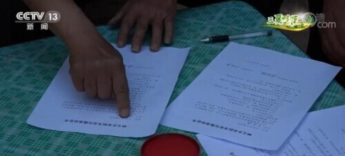 收割機田間穿梭忙 配套服務(wù)“貼心”跟上