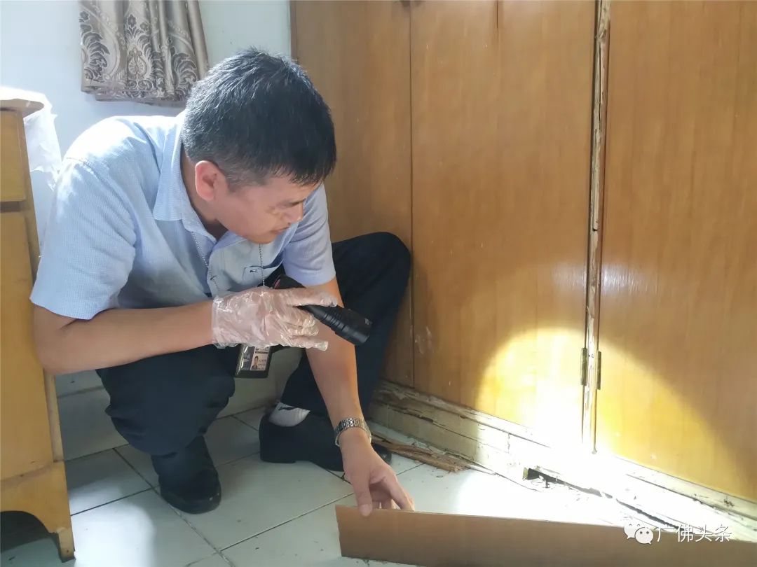 数十万只白蚁“围攻”三层老屋！九旬老伯晚上不敢开灯吃饭……