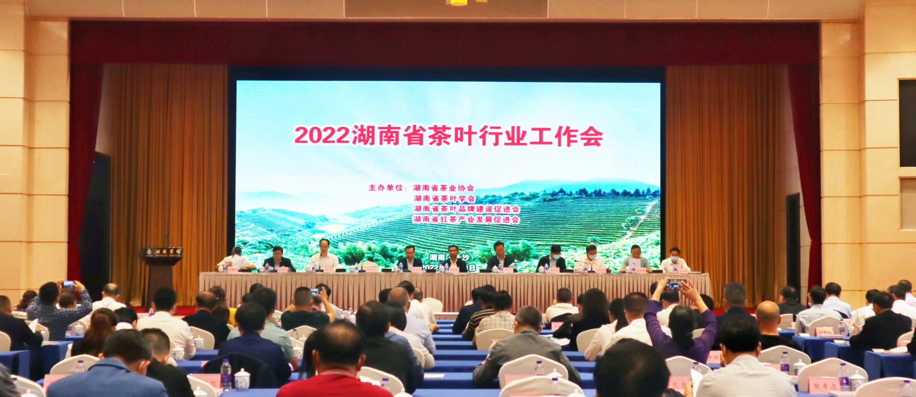 科技支撑 品牌引领“五彩湘茶”突破千亿产值