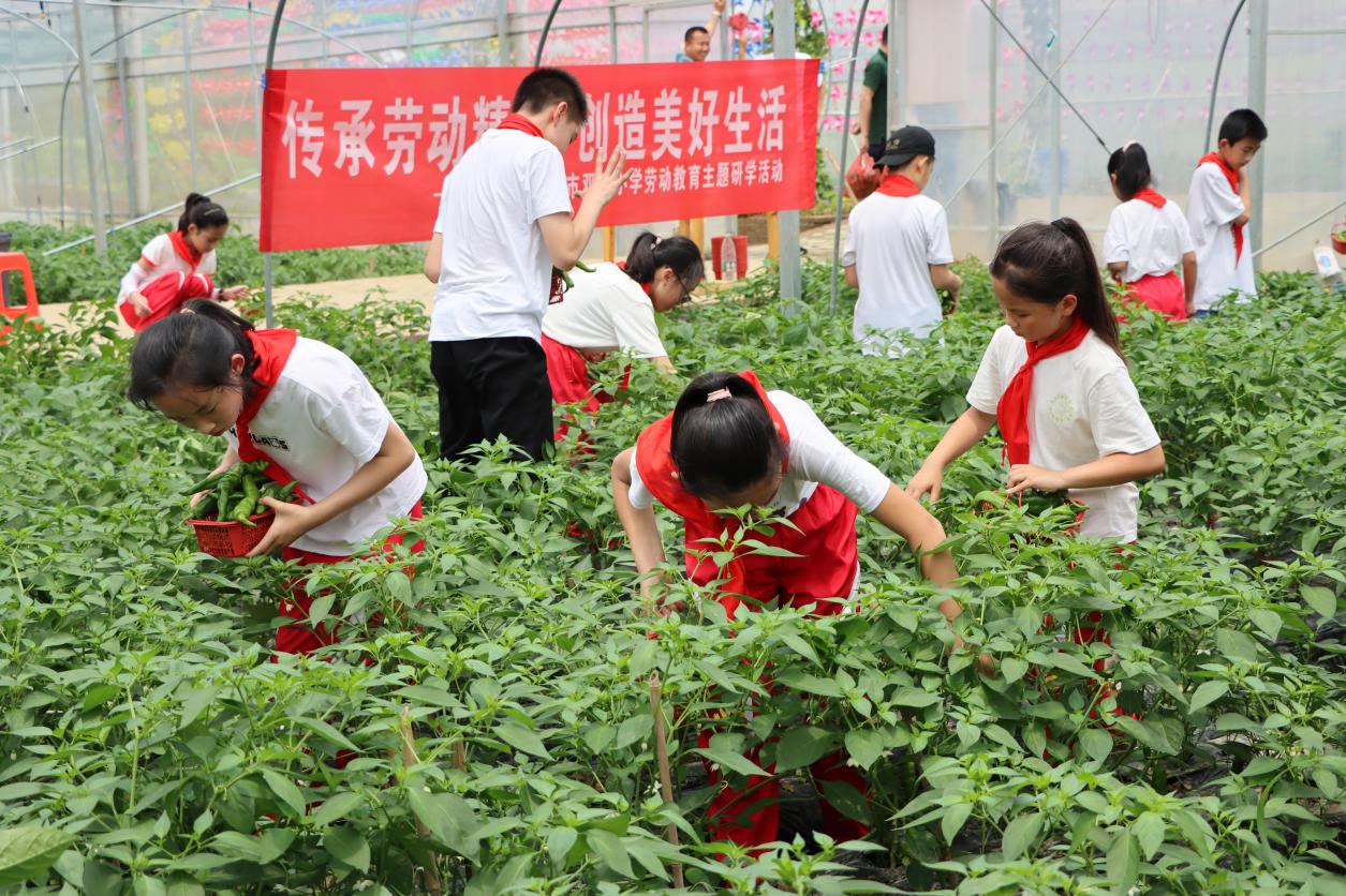 九江市双峰小学研学劳动实践活动(图9)