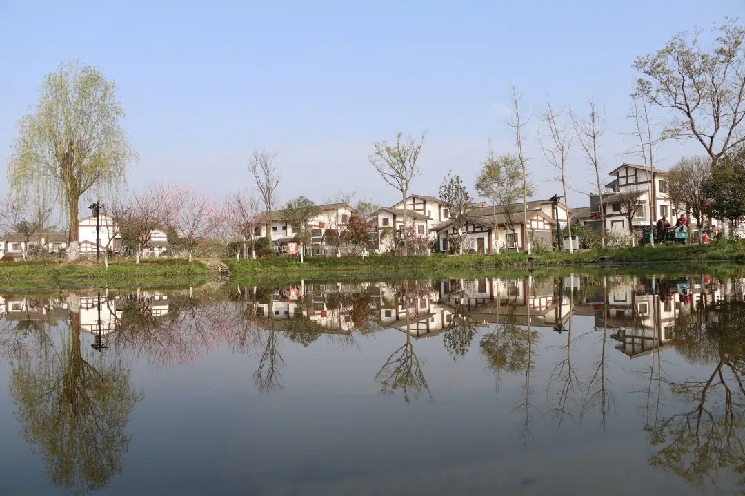 蒙阳街道打造美丽宜居城乡融合的高质量发展样板