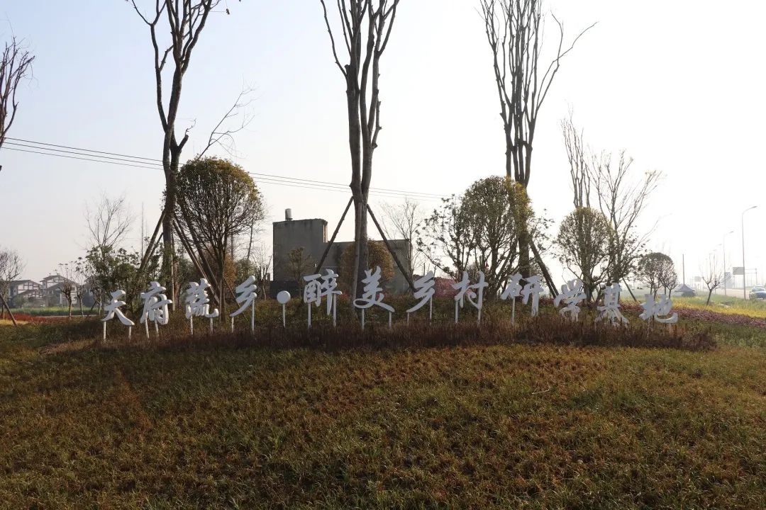 蒙阳街道打造美丽宜居城乡融合的高质量发展样板