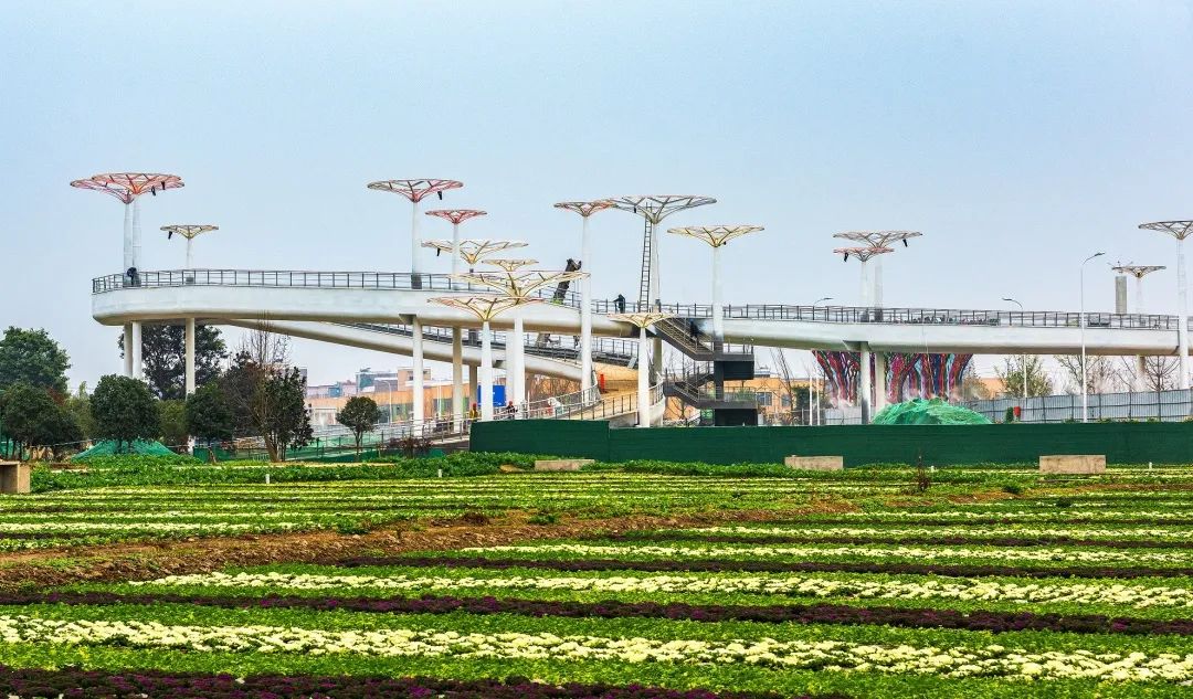 广阔天地 | 濛阳街道:打造美丽宜居,城乡融合的高质量发展样板