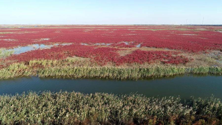 黄河大学失败的原因（是什么原因）
