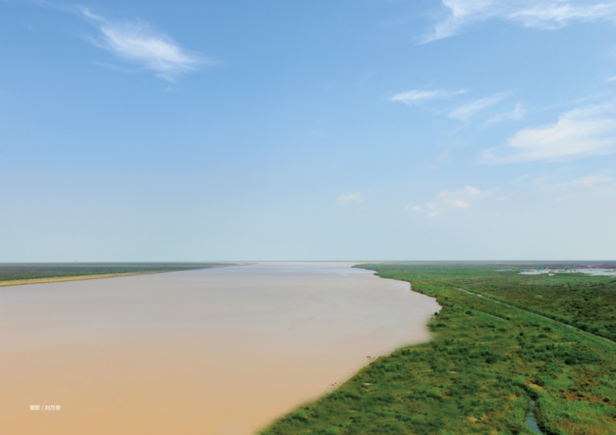 是什么原因，让山东大学三代学者60多年专注做这一件事？