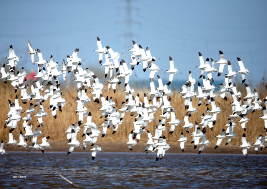 是什么原因，让山东大学三代学者60多年专注做这一件事？