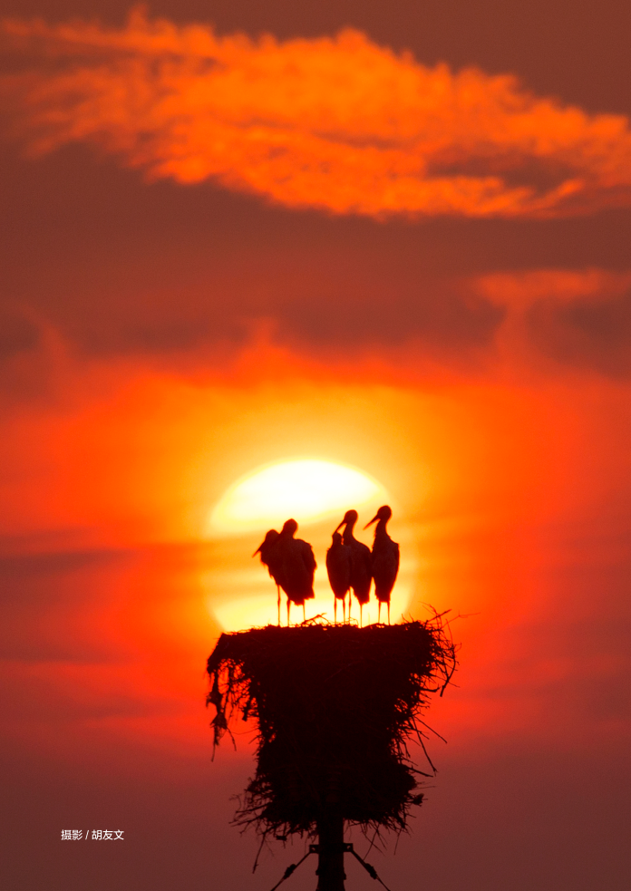 是什么原因，让山东大学三代学者60多年专注做这一件事？