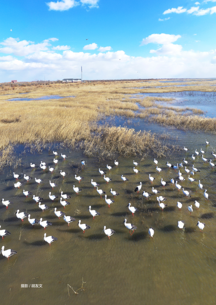 是什么原因，让山东大学三代学者60多年专注做这一件事？