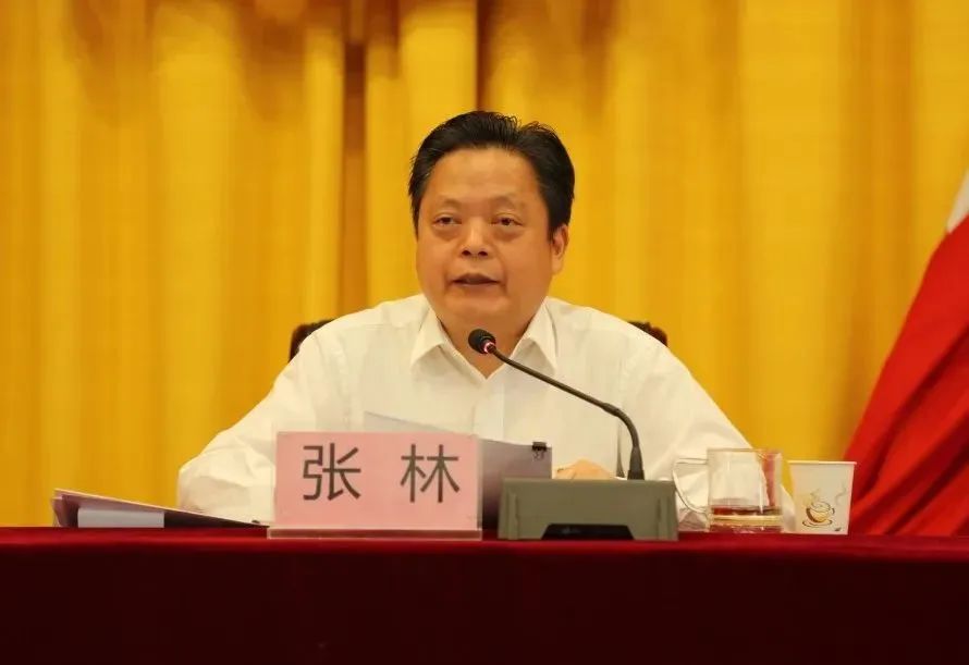 武汉新港工委书记张林，被查