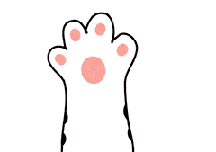 传言称宁德时代将斥资50亿美元在墨西哥选址建厂；比亚迪或将自研自动驾驶芯片