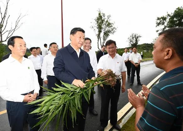 习近平：促进农业全面升级、农村全面进步、农民全面发展