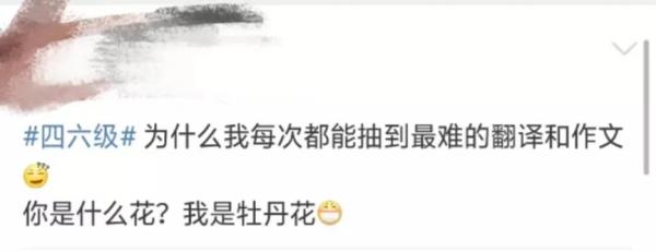 你是揠苗助长，还是守株待兔？四六级“神翻译”又上热搜