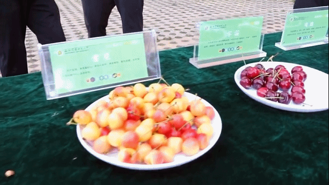 这些高校的毕业礼物，真的太暖了！看看你最喜欢哪一款？